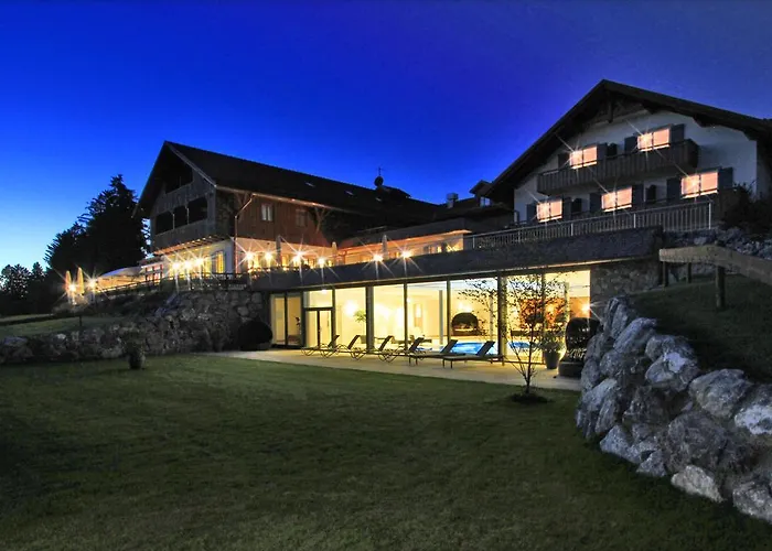 Отель Gsteig 4*